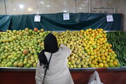 میادین میوه و تره بار شهرداری تهران ۱۴ خرداد تعطیل است