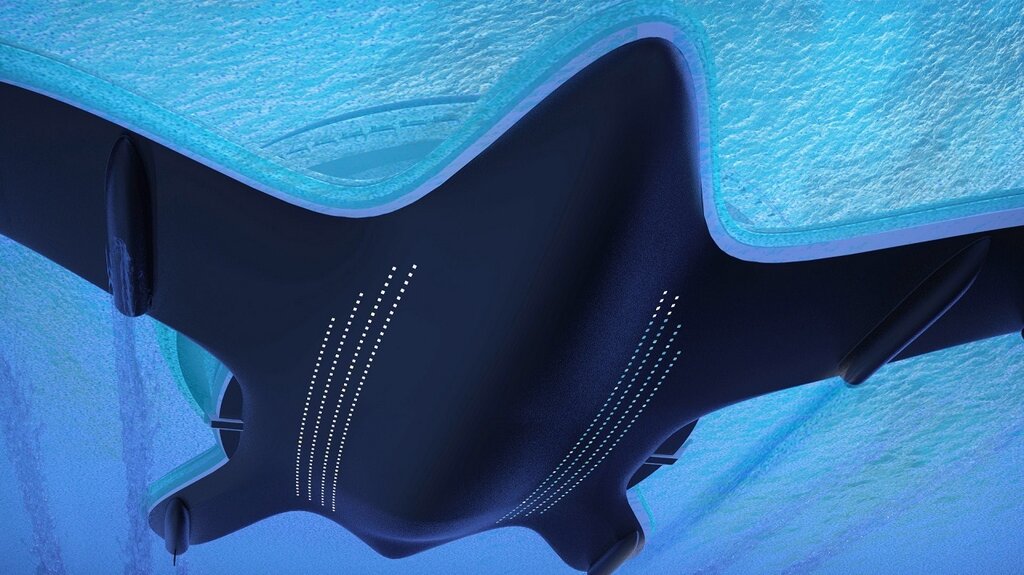 تصاویر گرانترین و بزرگترین کشتی تفریحی جهان در عربستان | شهر لاکپشتی ۵ میلیارد دلاری سعودیها را ببینید!