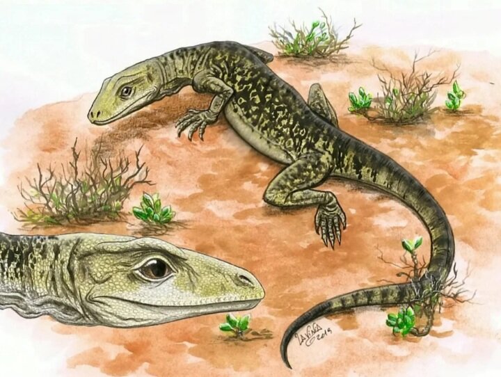 فسیل قصاب کوچک باورهای دانشمندان را به کلی زیر و رو کرد