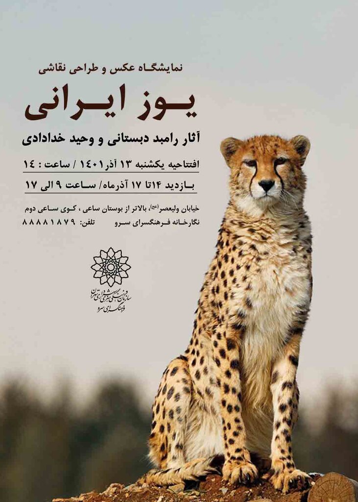 تماشای یوز ایرانی در قلب پایتخت - همشهری آنلاین