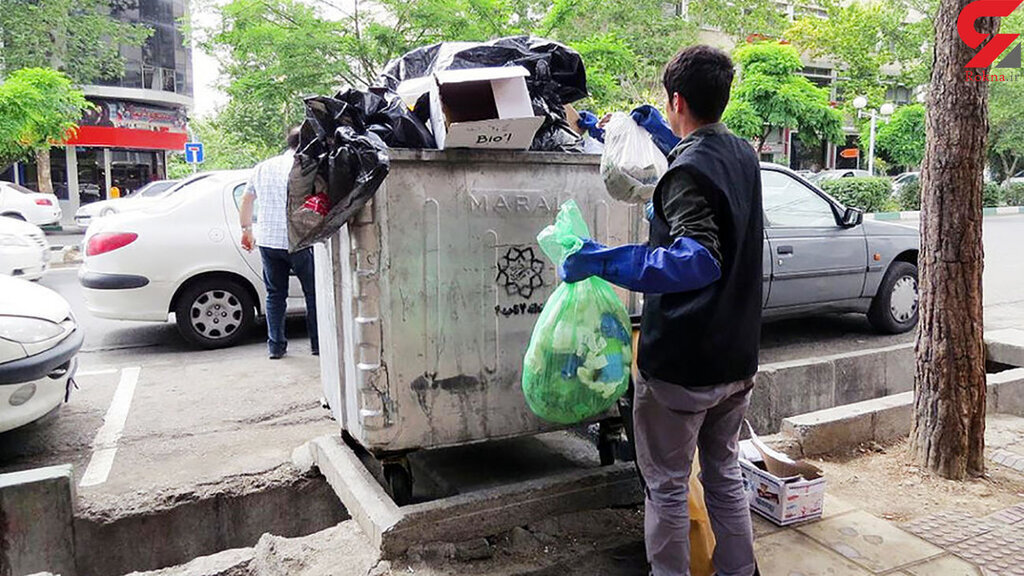 اینفوگرافیک