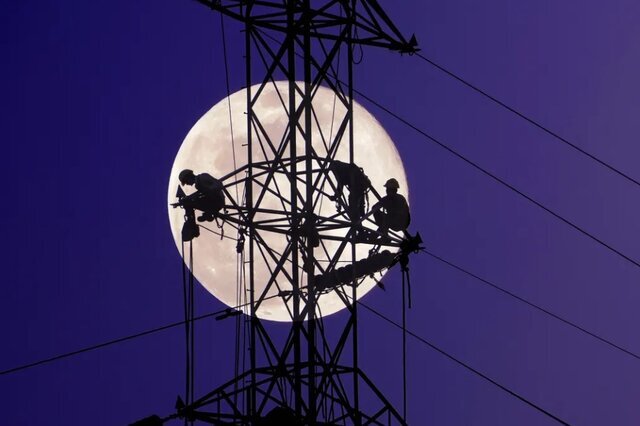 تصاویر| عکاس ایرانی در میان برترین عکاسان محیط زیست