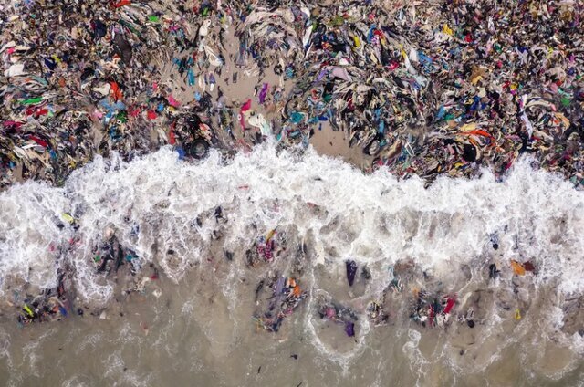 تصاویر| عکاس ایرانی در میان برترین عکاسان محیط زیست