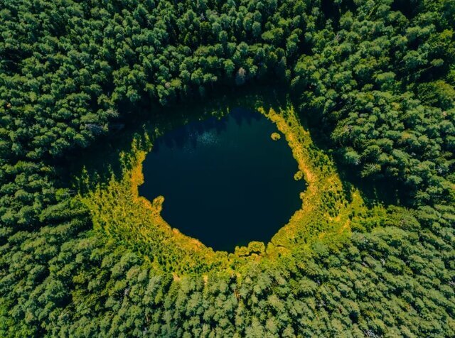 تصاویر| عکاس ایرانی در میان برترین عکاسان محیط زیست