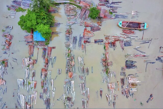 تصاویر| عکاس ایرانی در میان برترین عکاسان محیط زیست