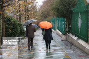 تصاویری جذاب از بارش باران بهاری در تهران | شدت بارش را ببینید