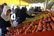 کاهش نسبی قیمت میوه | جدیدترین قیمت زردآلو، گیلاس، طالبی، موز ، توت فرنگی و هندوانه را ببینید