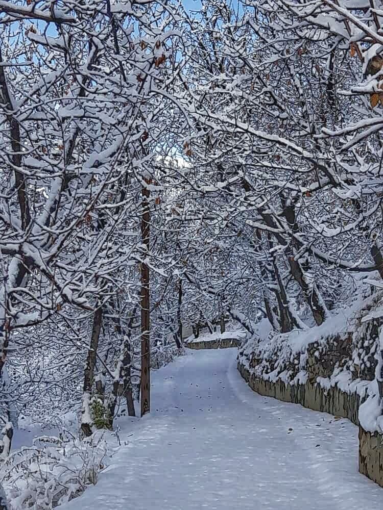 تصاویر | روستاهای غرب تهران سفیدپوش شد