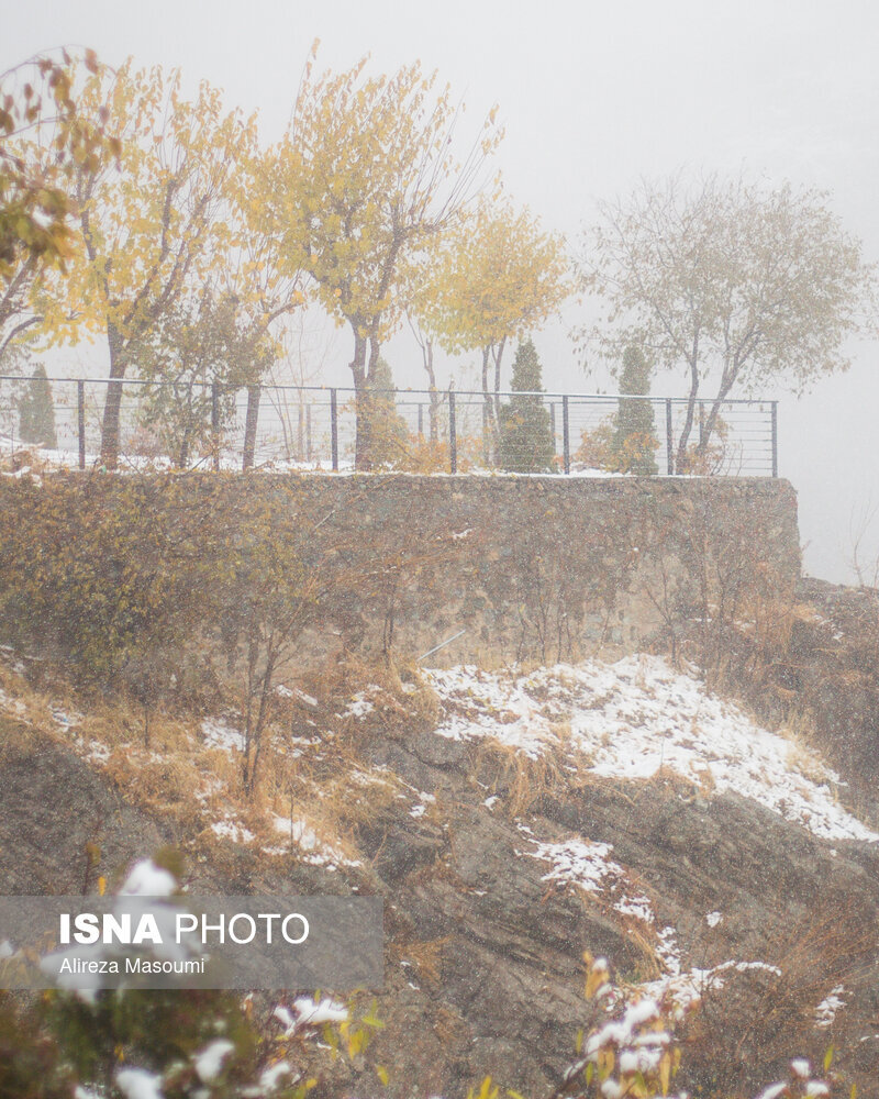 تصاویر اولین بارش برف در پایتخت | تهران روسفید شد