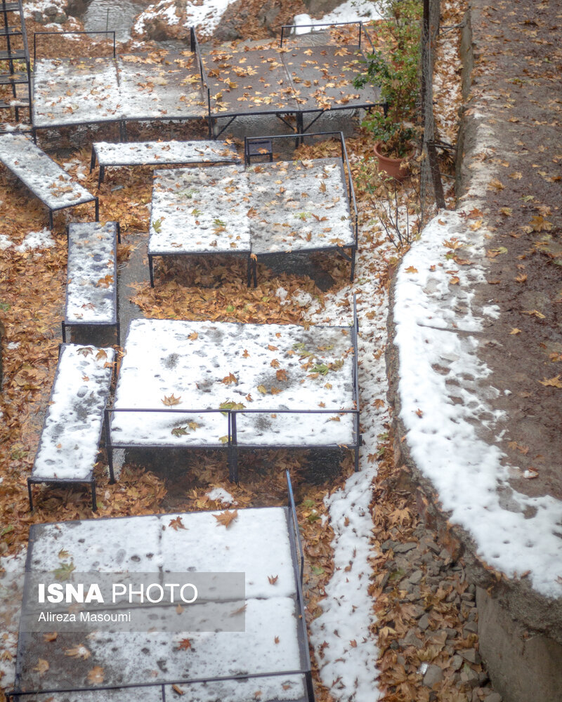 تصاویر اولین بارش برف در پایتخت | تهران روسفید شد