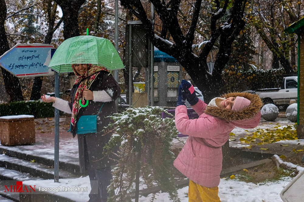 تصاویر ا زیبایی و امید در سردترین روز پاییزی پایتخت؛ از ماشین عروس تا عطر لبو و باقالی ...