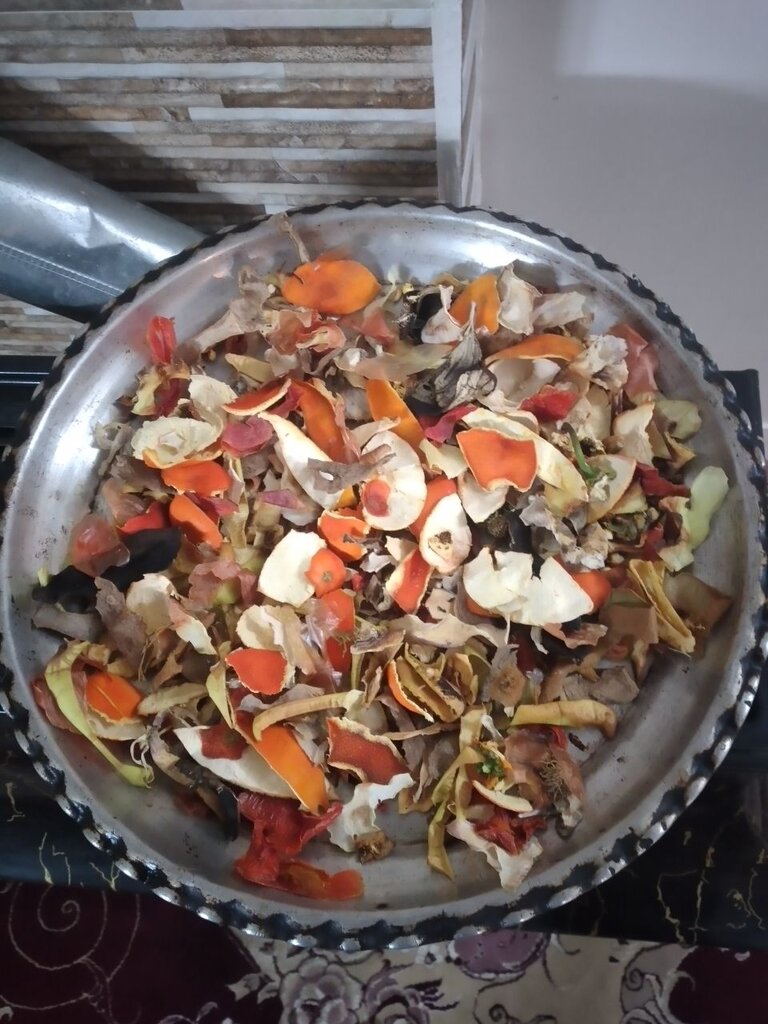 روایتی از دلدادگی به طبیعت در خانههای محیطزیست منطقه ۱۹ | از آرایشگری کوچهها تا ساخت جای دانه برای پرندگان