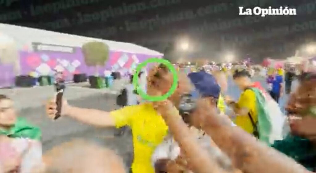 ببینید | فریم به فریم با کتککاری جنجالی در جام جهانی | حمله اسطوره فوتبال به یک فیلمبردار در پایان بازی برزیل و کره