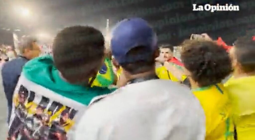ببینید | فریم به فریم با کتک‌کاری جنجالی در جام جهانی | حمله اسطوره فوتبال به یک فیلمبردار در پایان بازی برزیل و کره