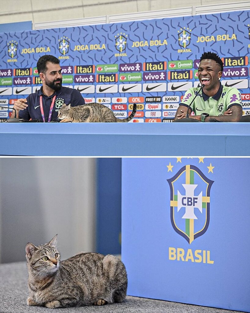 عکس | حیوان غریبه در کنفرانس خبری جام جهانی | ستاره رئال غافلگیر شد!