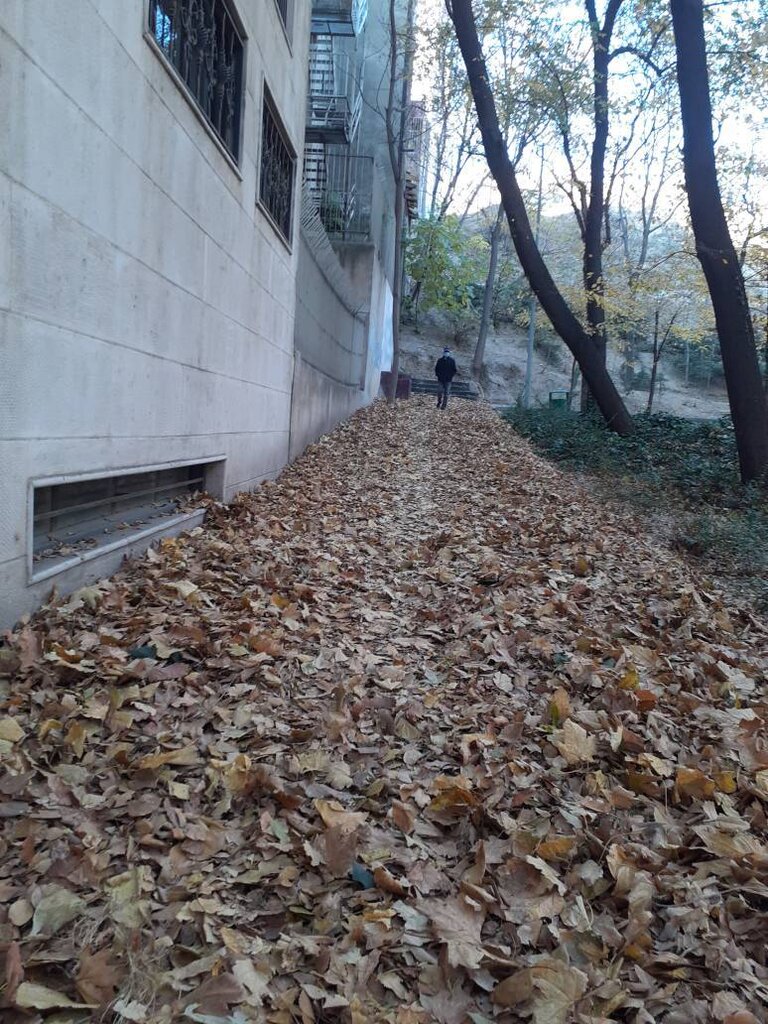 تصاویر | پاییز هزار رنگ پایتخت را از دست ندهید