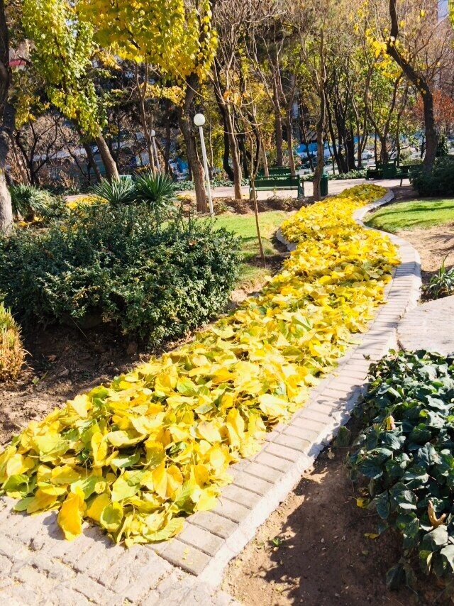 تصاویر | پاییز هزار رنگ پایتخت را از دست ندهید