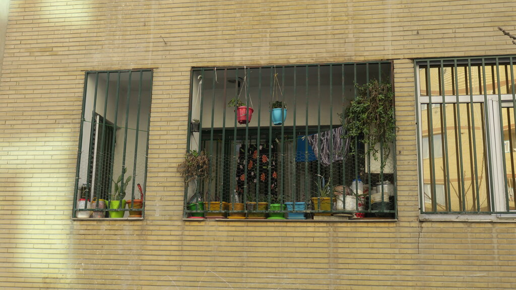 ردپای کارگردان «پدرخوانده» در علیآباد! | نام چهره معروف سینمای هالیوود بر این شهرک چه میکند؟