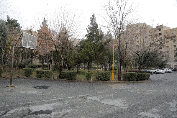 ۱۳ هکتار فضای سبز شهرک آپادانا خشک میشود؟ | بدهی میلیاردی؛ مانع آبیاری درختان