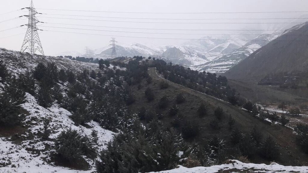 گشت نیم روزی با حریمبانان شمالغرب پایتخت | رسالت؛ حفاظت از ریه تنفسی شهر | اینجا هوا پاک است