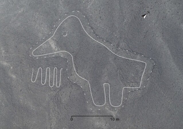 تصاویر کشف‌شده یکی از جذاب‌ترین رازهای تاریخی | خطوط ناسکا چیست؟ 