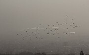 آخرین وضعیت آلودگی هوای تهران چگونه است؟