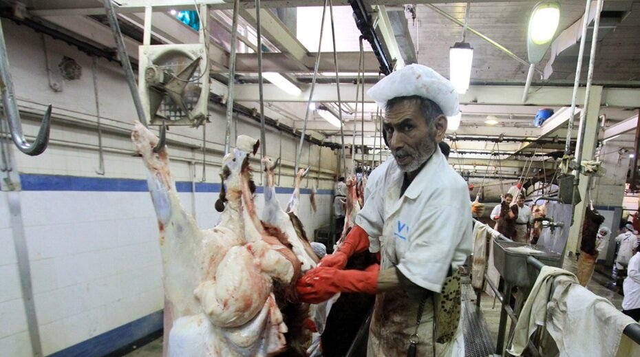 روزگاری لاشهکشی و سلاخی از مشاغل مهم در جنوب تهران بود | چرا کشتار در ملأعام قدغن شد!؟