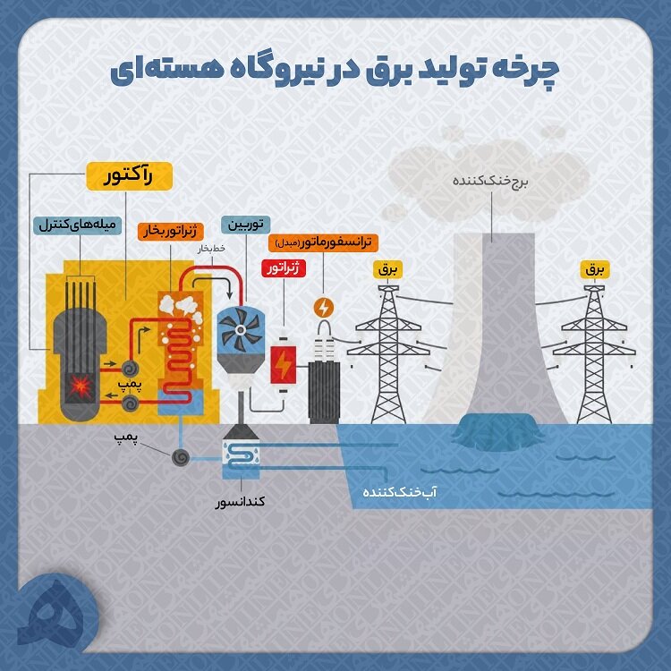 اینفوگرافیک | نیروگاه هستهای چگونه برق تولید میکند؟