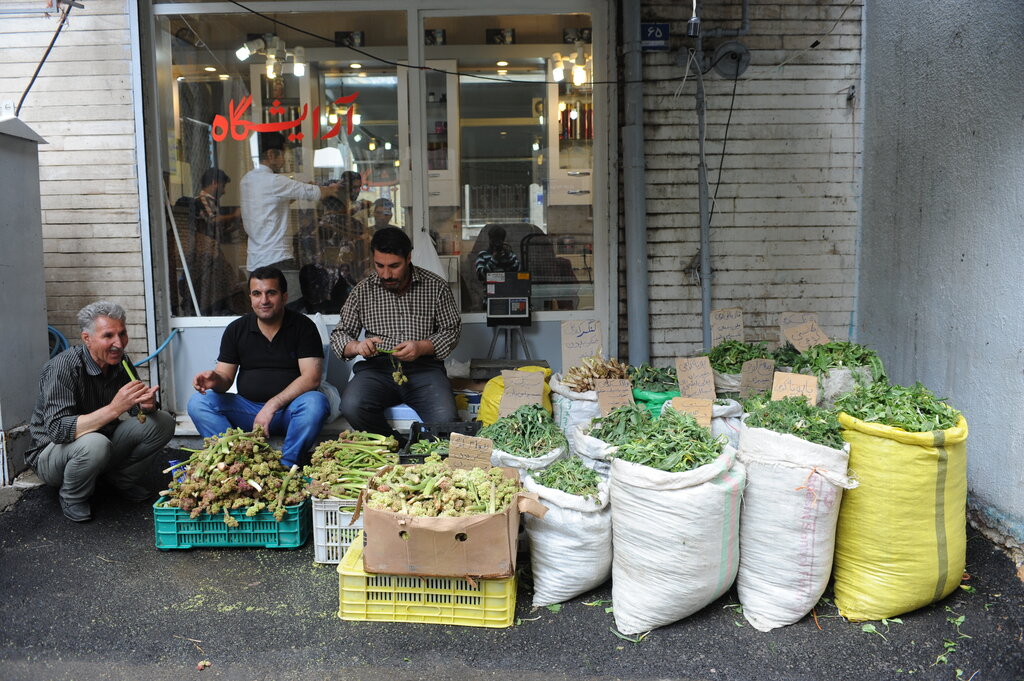 غذای گمشده در شمیران ۳هزار و ۵۰۰ساله کدامند؟ | از والکپلو تا سمنوپزان و از پلو بهتر