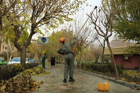 هرس زمستانه درختان پایتخت / عکس : امیر رستمی
