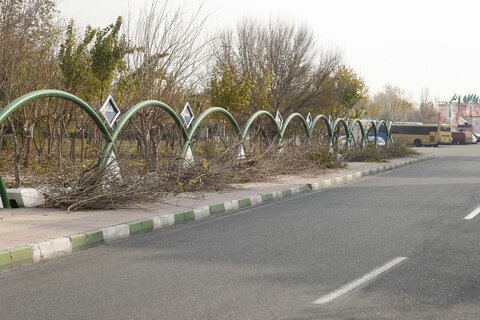 هرس زمستانه درختان پایتخت / عکس : رضا نوراله