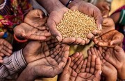  گرسنگی در عربستان و عمان بیشتر از ایران | وضعیت ایران در رده‌بندی جهانی شاخص گرسنگی را ببینید