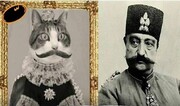 عکس | مشهورترین گربه تهران را بشناسید