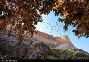تصاویر | باغ گلستان قلعه فلک الافلاک خرم آباد
