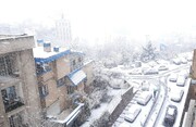 تصاویری زیبا از اولین برف زمستانی تهران