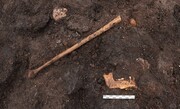 کشف قربانی ۵ هزار ساله آیین‌های باستانی در دانمارک | چرا مردم در باتلاق‌ها دفن می‌شدند؟