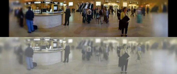 عکسهایی که نشان میدهند گربهها چطور دنیا را میبینند