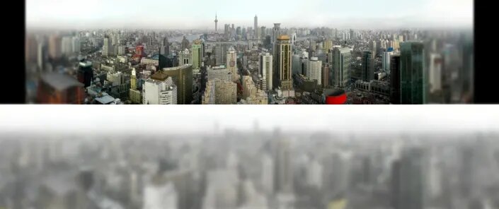 عکسهایی که نشان میدهند گربهها چطور دنیا را میبینند