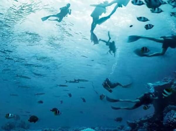 تست شخصیت | حس ششم و قدرت پیشگویی شما چقدر است؟ | در ۵ ثانیه همه چیز فاش میشود!