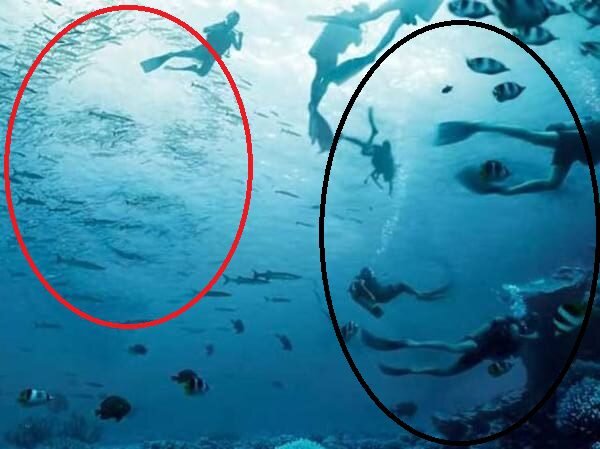 تست شخصیت | حس ششم و قدرت پیشگویی شما چقدر است؟ | در ۵ ثانیه همه چیز فاش میشود!