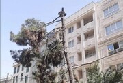 قهرمان محله | کارگری و مردمداری به شیوه احمدآقا