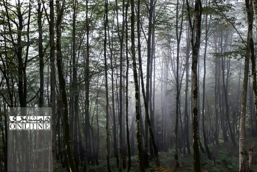 تصاویر | گشت و گذار در جواهرات شمال! | سفر به سرزمین ابرها را از دست ندهید