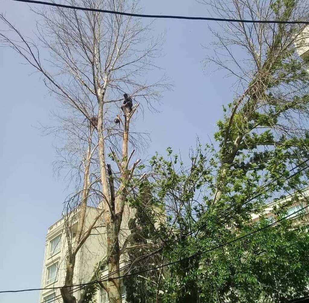 قهرمان محله | کارگری و مردمداری به شیوه احمدآقا