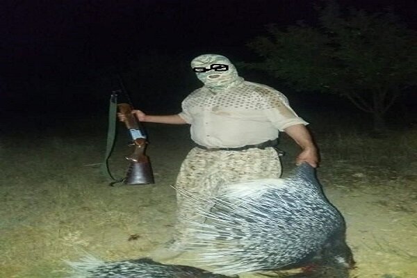 دستگیری شکارچی خودنما | تصویر این شکارچی خارپشت تَشی را ببینید 