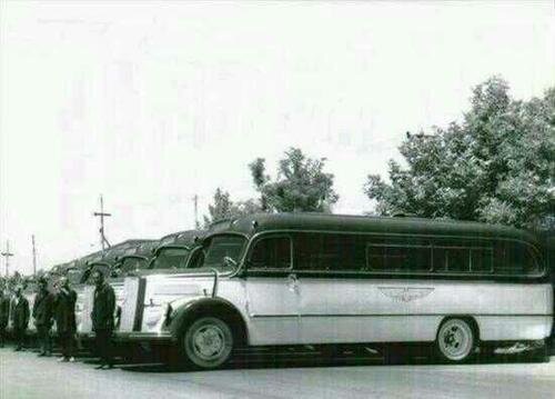 چگونه گاریخانهها به تاریخ پیوستند؟ |  داستان تولد اولین گاراژهای مسافربری در تهران