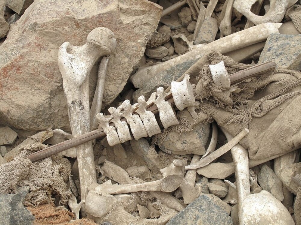 باستان شناسان