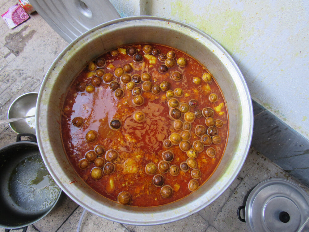 هنوز بوی خوش آبگوشت عقیقه در کوچهباغهای کن میپیچد