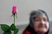 خبر خوش شهردار منطقه یک برای سالمندان شمال تهران