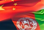 جزئیات قرارداد نفتی ۲۵ ساله طالبان با چین | روسیه هم با طالبان یک قرارداد مقدماتی امضا کرد