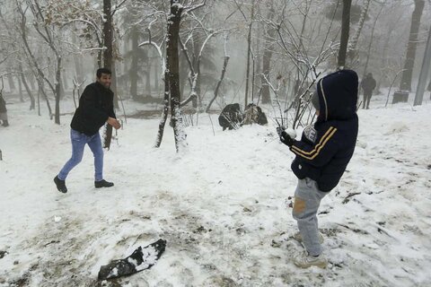 برف زمستانی پارک جمشیدیه /  محمد عباس نژاد